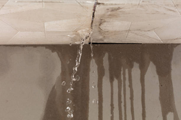 Professional Structural Drying technician working in Summerfield, TX